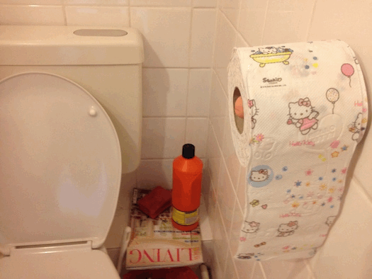 Dildo som toiletrulleholder